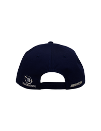 Ross Chastain #1 Grey Wave Snapback Hat