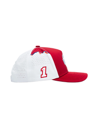 Ross Chastain #1 Busch Light Apple ICON Snapback Hat by Locked Down