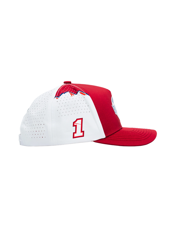 Ross Chastain #1 Busch Light Apple ICON Snapback Hat by Locked Down