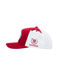 Ross Chastain #1 Busch Light Apple ICON Snapback Hat by Locked Down