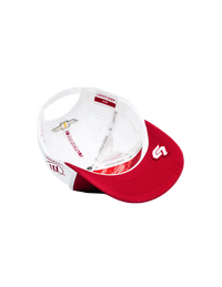 Ross Chastain #1 Busch Light Apple ICON Snapback Hat by Locked Down